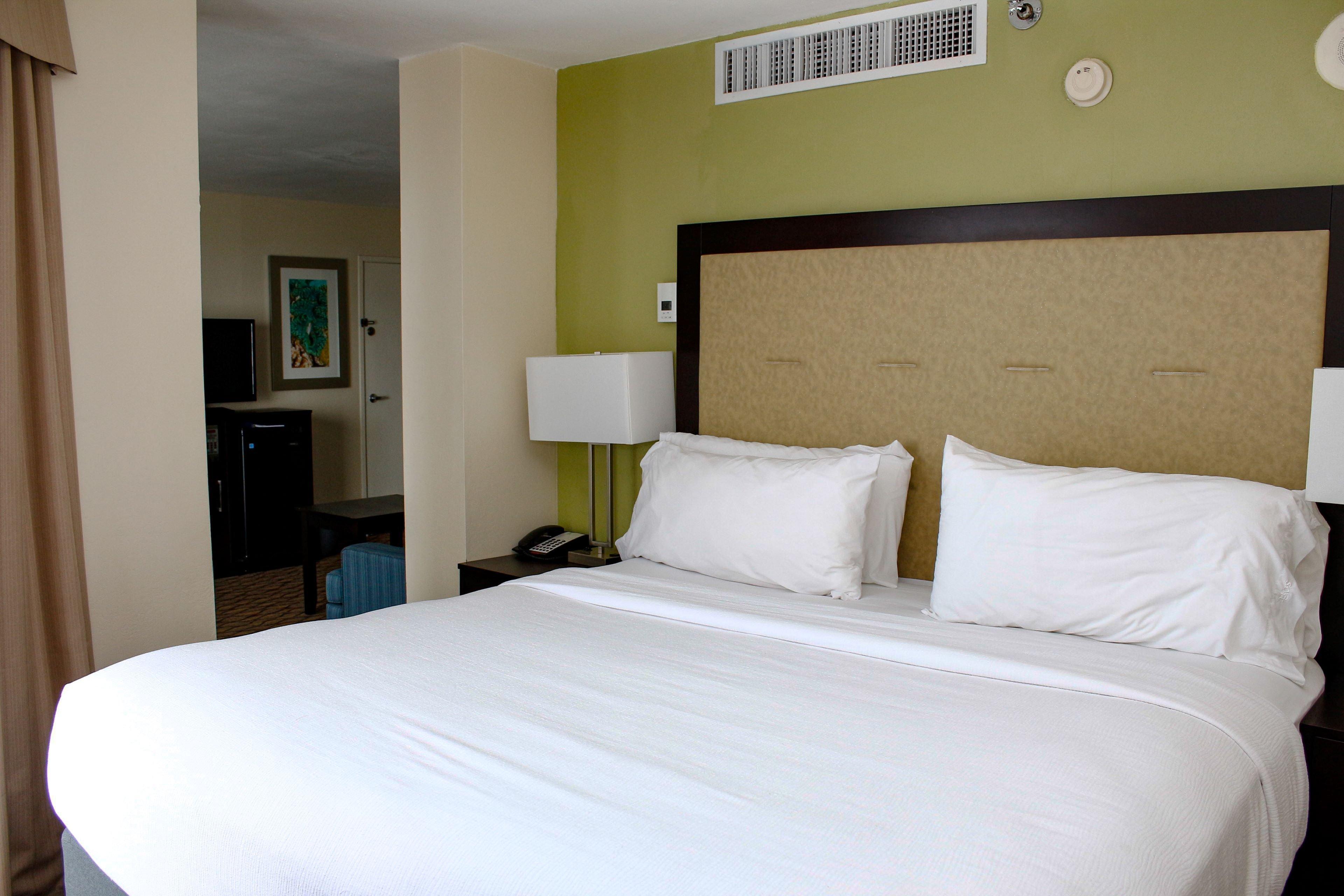 Holiday Inn Corpus Christi Downtown Marina By Ihg Exterior photo