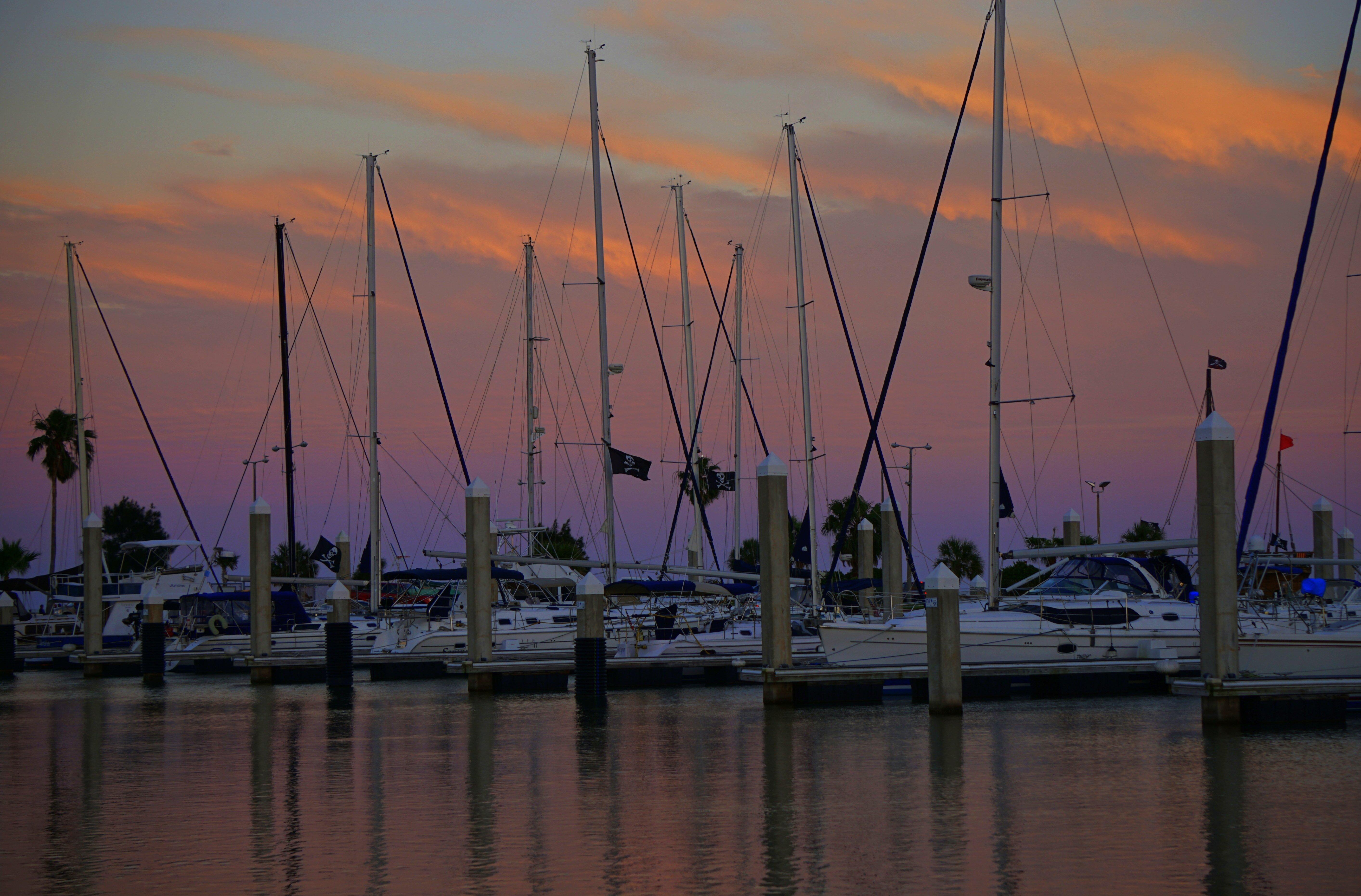 Holiday Inn Corpus Christi Downtown Marina By Ihg Exterior photo