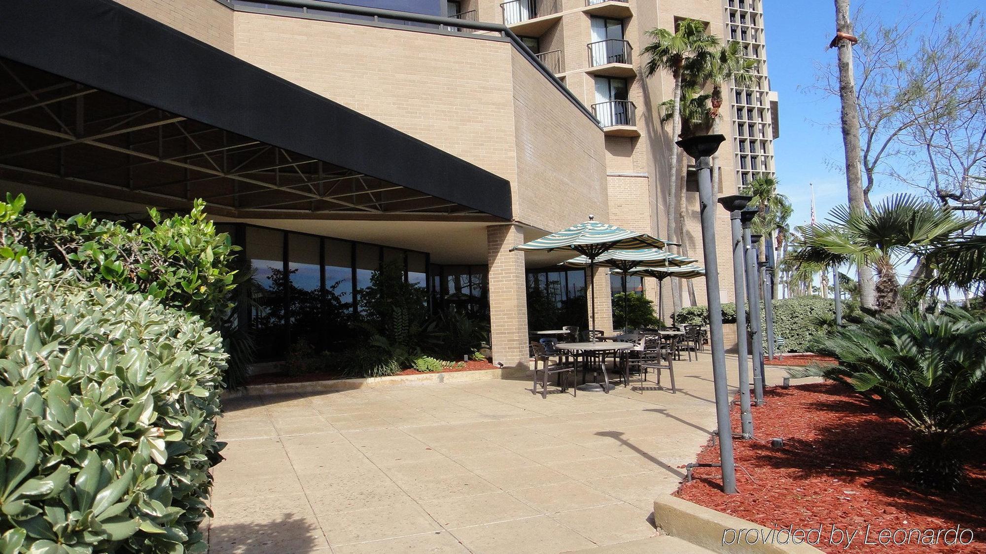 Holiday Inn Corpus Christi Downtown Marina By Ihg Exterior photo